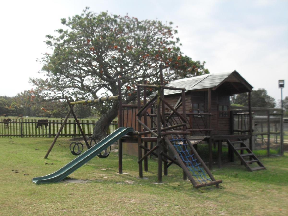 Soloko Game Farm Kareedouw Exterior foto